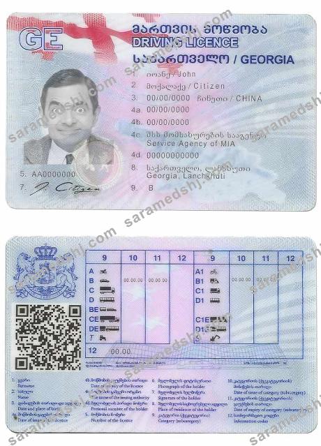 Georgia driving license